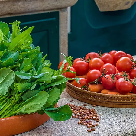 Paco De Calheiros - Turismo De Habitacao 4* Ponte de Lima